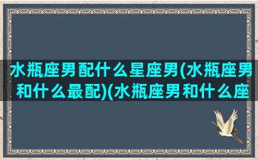 水瓶座男配什么星座男(水瓶座男和什么最配)(水瓶座男和什么座最配对指数)