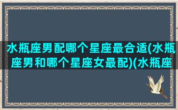 水瓶座男配哪个星座最合适(水瓶座男和哪个星座女最配)(水瓶座男和什么星座的女生最配)