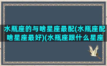 水瓶座的与啥星座最配(水瓶座配啥星座最好)(水瓶座跟什么星座配最好)