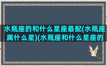 水瓶座的和什么星座最配(水瓶座属什么星)(水瓶座和什么星座的人最配)