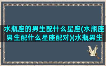 水瓶座的男生配什么星座(水瓶座男生配什么星座配对)(水瓶男生跟什么星座最配)