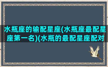 水瓶座的输配星座(水瓶座最配星座第一名)(水瓶的最配星座配对)