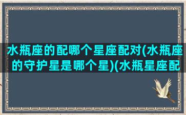 水瓶座的配哪个星座配对(水瓶座的守护星是哪个星)(水瓶星座配什么星座)