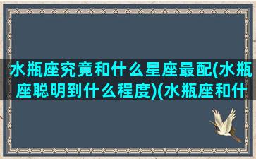 水瓶座究竟和什么星座最配(水瓶座聪明到什么程度)(水瓶座和什么星座最配呢)