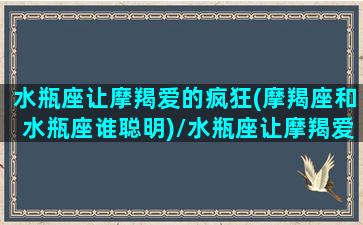 水瓶座让摩羯爱的疯狂(摩羯座和水瓶座谁聪明)/水瓶座让摩羯爱的疯狂(摩羯座和水瓶座谁聪明)-我的网站