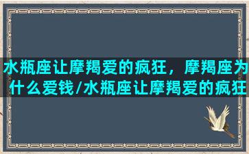 水瓶座让摩羯爱的疯狂，摩羯座为什么爱钱/水瓶座让摩羯爱的疯狂，摩羯座为什么爱钱-我的网站