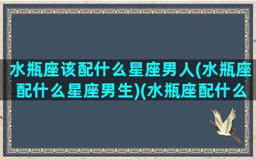 水瓶座该配什么星座男人(水瓶座配什么星座男生)(水瓶座配什么样的男朋友)