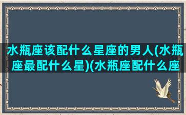 水瓶座该配什么星座的男人(水瓶座最配什么星)(水瓶座配什么座的男生)