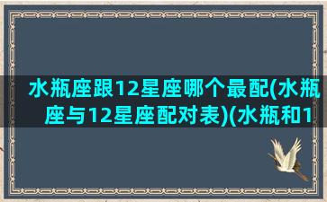 水瓶座跟12星座哪个最配(水瓶座与12星座配对表)(水瓶和12星座)