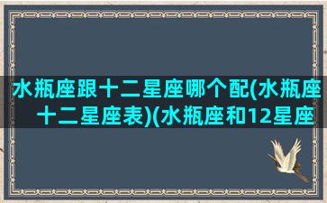 水瓶座跟十二星座哪个配(水瓶座十二星座表)(水瓶座和12星座的恋爱关系)