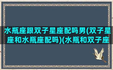 水瓶座跟双子星座配吗男(双子星座和水瓶座配吗)(水瓶和双子座在一起合适吗)