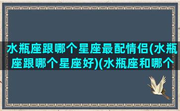 水瓶座跟哪个星座最配情侣(水瓶座跟哪个星座好)(水瓶座和哪个星座配对最好)