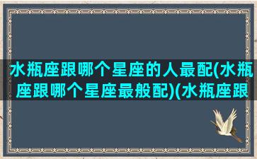 水瓶座跟哪个星座的人最配(水瓶座跟哪个星座最般配)(水瓶座跟哪个星座比较合适)