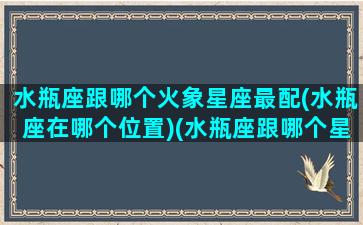 水瓶座跟哪个火象星座最配(水瓶座在哪个位置)(水瓶座跟哪个星座配对)