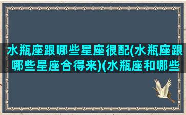 水瓶座跟哪些星座很配(水瓶座跟哪些星座合得来)(水瓶座和哪些星座配对)