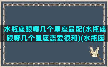 水瓶座跟哪几个星座最配(水瓶座跟哪几个星座恋爱很和)(水瓶座和什么星座恋爱一生)