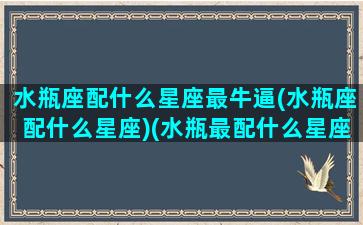 水瓶座配什么星座最牛逼(水瓶座配什么星座)(水瓶最配什么星座的话)