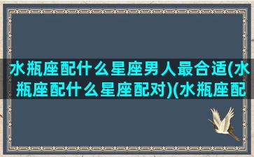 水瓶座配什么星座男人最合适(水瓶座配什么星座配对)(水瓶座配什么座的男生)