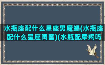 水瓶座配什么星座男魔蝎(水瓶座配什么星座闺蜜)(水瓶配摩羯吗)