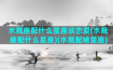 水瓶座配什么星座谈恋爱(水瓶座配什么星座)(水瓶配啥星座)