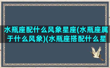 水瓶座配什么风象星座(水瓶座属于什么风象)(水瓶座搭配什么星座最合适)