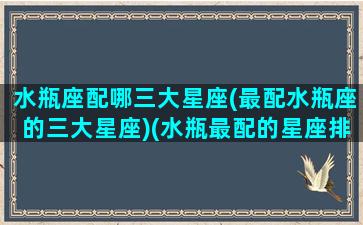 水瓶座配哪三大星座(最配水瓶座的三大星座)(水瓶最配的星座排名)