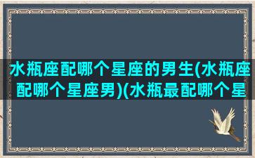 水瓶座配哪个星座的男生(水瓶座配哪个星座男)(水瓶最配哪个星座)