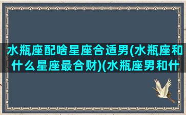 水瓶座配啥星座合适男(水瓶座和什么星座最合财)(水瓶座男和什么星座配对合适)