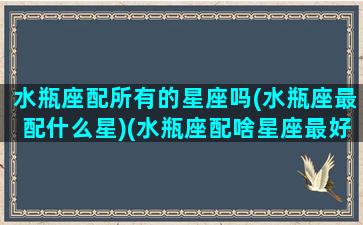 水瓶座配所有的星座吗(水瓶座最配什么星)(水瓶座配啥星座最好)