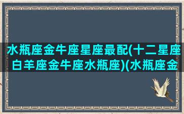 水瓶座金牛座星座最配(十二星座白羊座金牛座水瓶座)(水瓶座金牛座合得来吗)