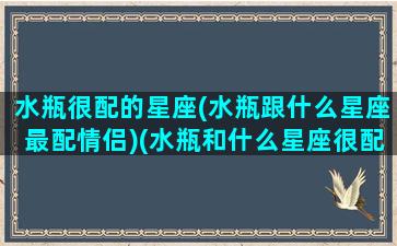 水瓶很配的星座(水瓶跟什么星座最配情侣)(水瓶和什么星座很配)