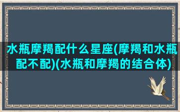 水瓶摩羯配什么星座(摩羯和水瓶配不配)(水瓶和摩羯的结合体)