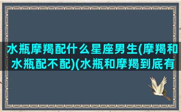 水瓶摩羯配什么星座男生(摩羯和水瓶配不配)(水瓶和摩羯到底有多配)