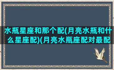 水瓶星座和那个配(月亮水瓶和什么星座配)(月亮水瓶座配对最配的)