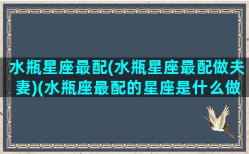 水瓶星座最配(水瓶星座最配做夫妻)(水瓶座最配的星座是什么做)