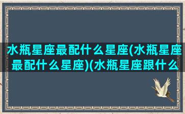 水瓶星座最配什么星座(水瓶星座最配什么星座)(水瓶星座跟什么星座最配)