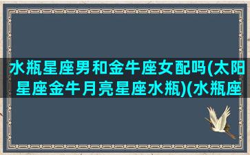 水瓶星座男和金牛座女配吗(太阳星座金牛月亮星座水瓶)(水瓶座男生和金牛女配吗)