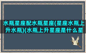 水瓶星座配水瓶星座(星座水瓶上升水瓶)(水瓶上升星座是什么星座)