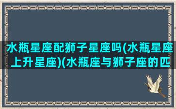 水瓶星座配狮子星座吗(水瓶星座上升星座)(水瓶座与狮子座的匹配指数)