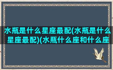 水瓶是什么星座最配(水瓶是什么星座最配)(水瓶什么座和什么座最配)