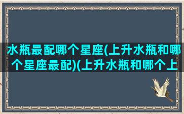 水瓶最配哪个星座(上升水瓶和哪个星座最配)(上升水瓶和哪个上升最配)
