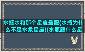 水瓶水和那个星座最配(水瓶为什么不是水象星座)(水瓶跟什么星座匹配呀)