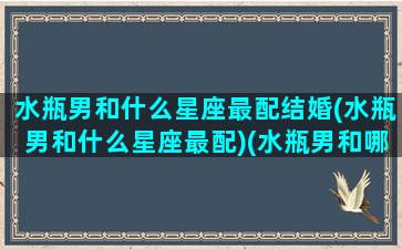 水瓶男和什么星座最配结婚(水瓶男和什么星座最配)(水瓶男和哪个星座最配做情侣)