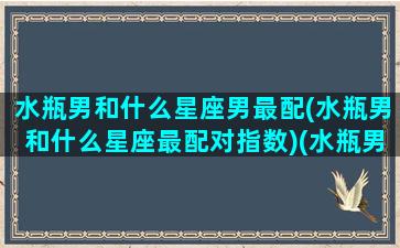 水瓶男和什么星座男最配(水瓶男和什么星座最配对指数)(水瓶男和什么星座配对合适)