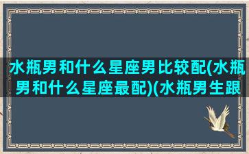 水瓶男和什么星座男比较配(水瓶男和什么星座最配)(水瓶男生跟什么星座最配)