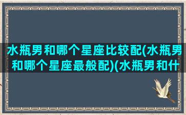 水瓶男和哪个星座比较配(水瓶男和哪个星座最般配)(水瓶男和什么星座是绝配)