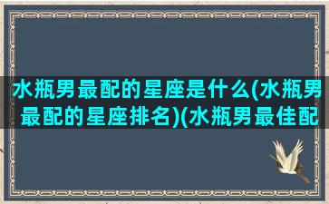 水瓶男最配的星座是什么(水瓶男最配的星座排名)(水瓶男最佳配对星座)