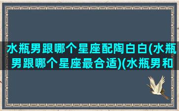 水瓶男跟哪个星座配陶白白(水瓶男跟哪个星座最合适)(水瓶男和什么星座配对)