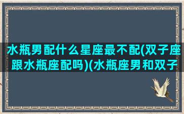 水瓶男配什么星座最不配(双子座跟水瓶座配吗)(水瓶座男和双子座配吗)