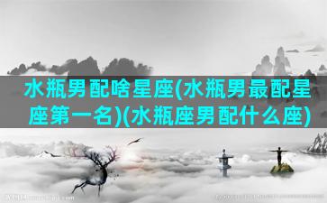 水瓶男配啥星座(水瓶男最配星座第一名)(水瓶座男配什么座)